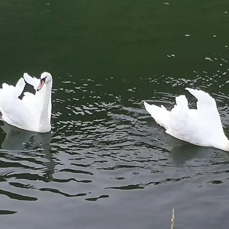 La Petite Maison Pa'meuse Prázdninový dům