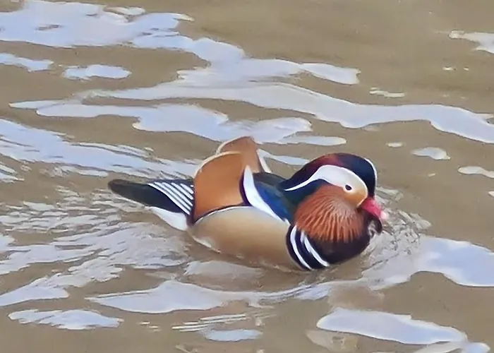 La Petite Maison Pa'meuse Σπίτι διακοπών