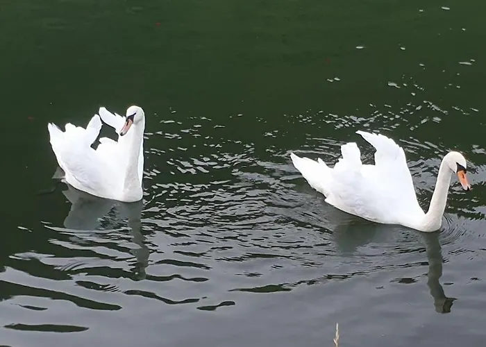 La Petite Maison Pa'meuse Σπίτι διακοπών