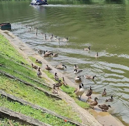 Holiday home La Petite Maison Pa'meuse Montherme